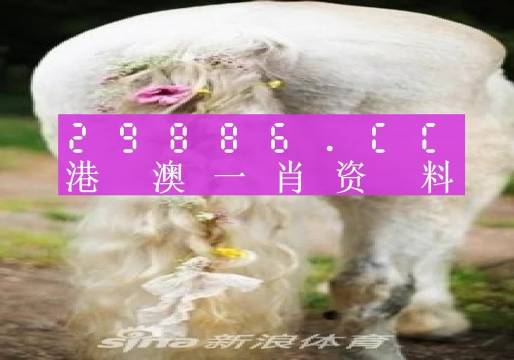 资讯 第22页