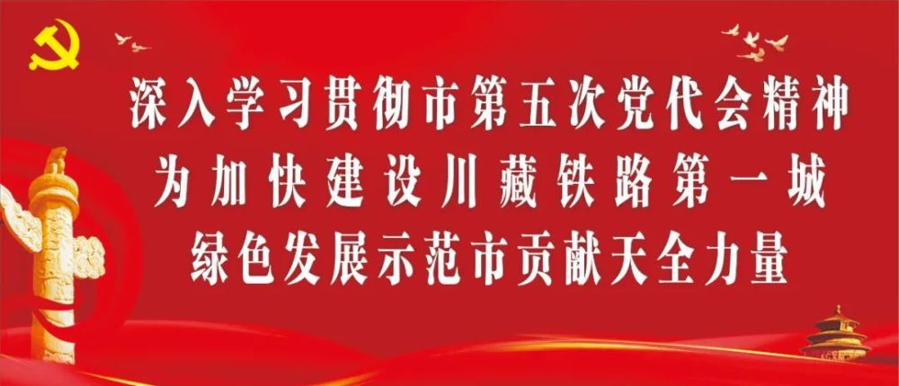 新奥门天天免费正版资料|全面贯彻解释落实