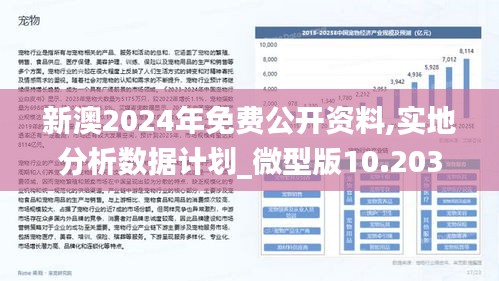 2025新澳今晚资料八佰力|精选解析解释落实