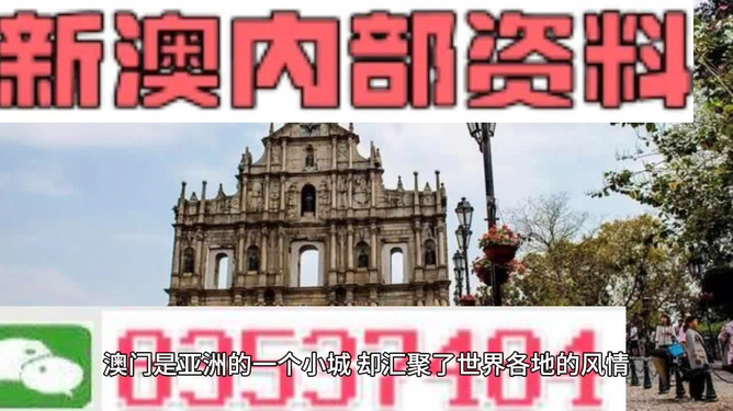 新澳门今天最新免费资料,新澳门今天最新免费资料，探索与揭秘