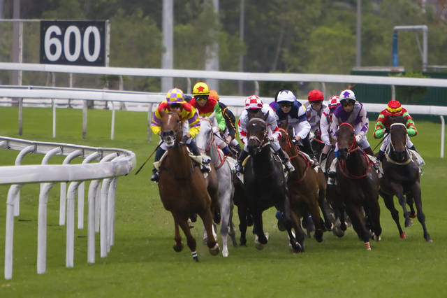 香港今晚开什么特马,香港今晚开什么特马，探索赛马文化及其影响